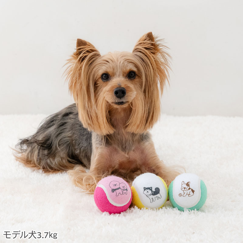 ペットパラダイス 犬 おもちゃ 犬おもちゃ テニスボール トイ 小型犬 中型犬 犬用おもちゃ ペット ロープ ボール 噛む 音 鳴る 3個セット オモチャ ペットトイ 玩具 TOY 0