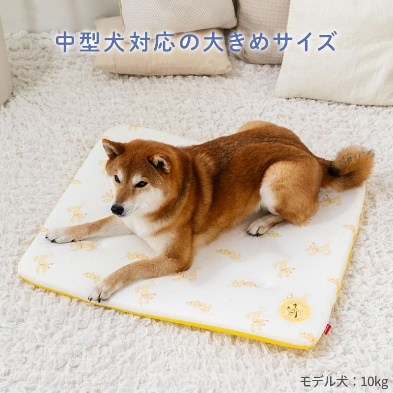 ペットパラダイス 犬 もちっと クール マット 夏 ディズニー プルート 接触冷感 中型犬 寝具