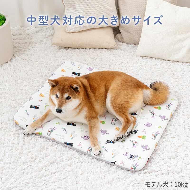 ペットパラダイス 犬 もちっと クール マット 夏 リサとガスパール 接触冷感 寝具 中型犬