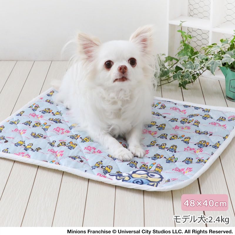 ペットパラダイス 犬 クール マット 夏 アイス柄 冷感マット ミニオン 四角 超小型犬 寝具