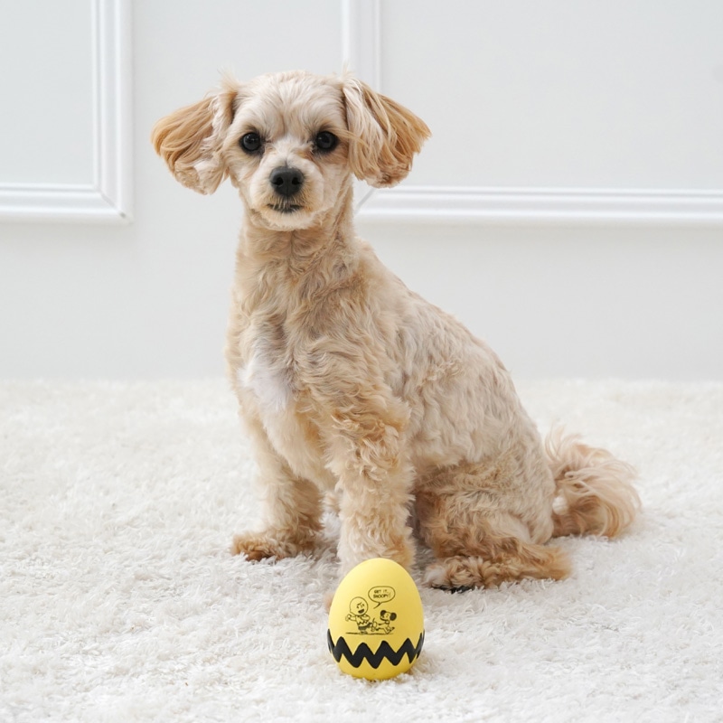 ペットパラダイス スヌーピー 犬 おもちゃ 50s ラテックストイ 音が鳴る 噛む おうちで遊ぼう おうち時間 オモチャ ペットトイ 玩具 TOY かわいい おもしろ インスタ映え