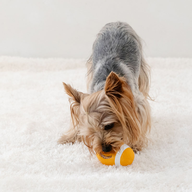 ペットパラダイス スヌーピー 犬 おもちゃ 犬おもちゃ ラグビー ラテックス トイ 犬用おもちゃ ペット ボール 噛む 音 鳴る 音が鳴る ペットトイ 玩具 TOY かわいい おもしろ