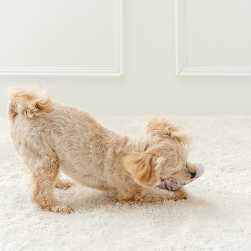 ペットパラダイス ディズニー バンビ 犬 おもちゃ 犬おもちゃ とんすけ ダンベルトイ 犬用おもちゃ トイ ペット 噛む 音 鳴る 音が鳴る オモチャ ペットトイ 玩具 TOY 0