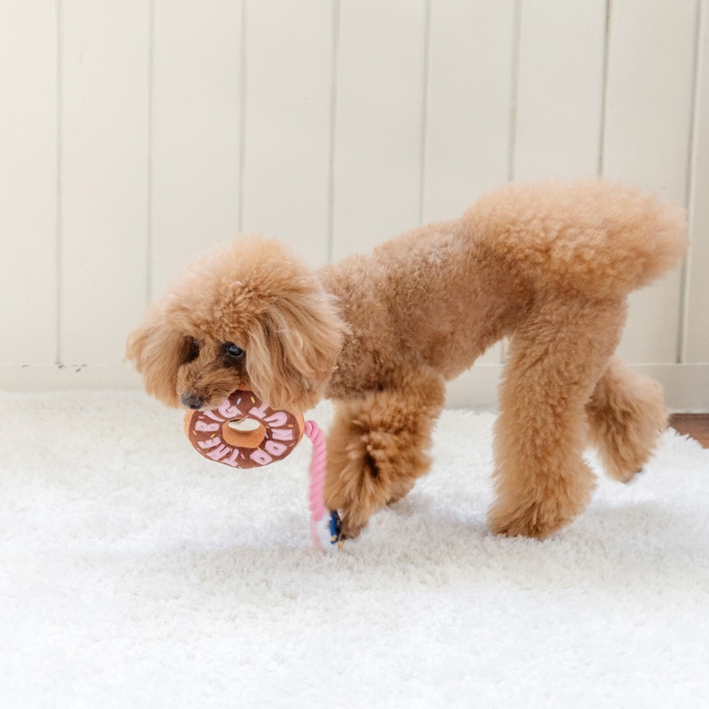 ペットパラダイス ディズニー ズートピア 犬 おもちゃ 犬おもちゃ ドーナツトイ 犬用おもちゃ トイ ペット ロープ 噛む 音 鳴る 音が鳴る ペットトイ 玩具 TOY かわいい おもしろ インスタ映え