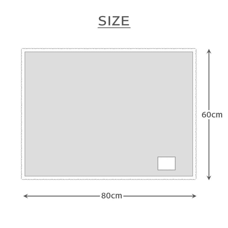 ペットパラダイス 犬 マット 冬用 ディズニー 総柄 ボア トイ・ストーリー 遠赤外線 (80×60cm) 寝具