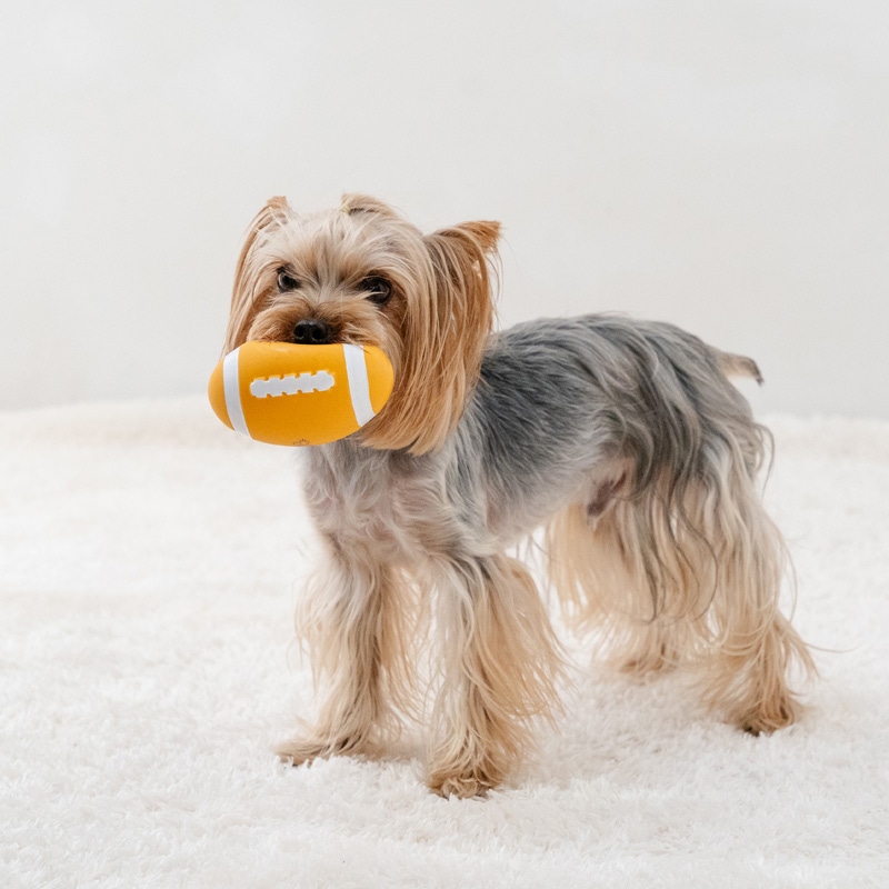 ペットパラダイス スヌーピー 犬 おもちゃ 犬おもちゃ ラグビー ラテックス トイ 犬用おもちゃ ペット ボール 噛む 音 鳴る 音が鳴る ペットトイ 玩具 TOY かわいい おもしろ