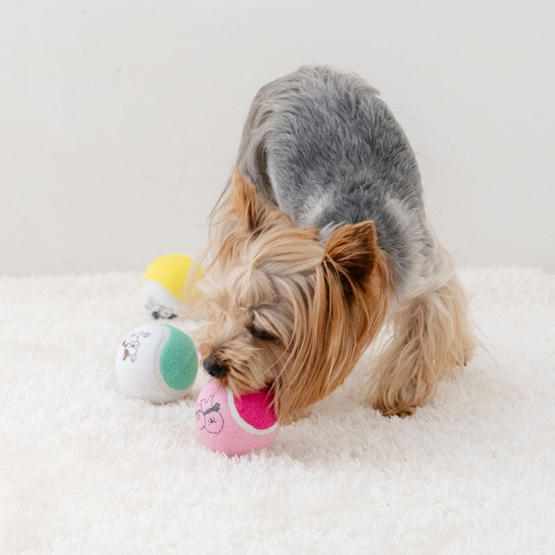 ペットパラダイス 犬 おもちゃ 犬おもちゃ テニスボール トイ 小型犬 中型犬 犬用おもちゃ ペット ロープ ボール 噛む 音 鳴る 3個セット オモチャ ペットトイ 玩具 TOY 0