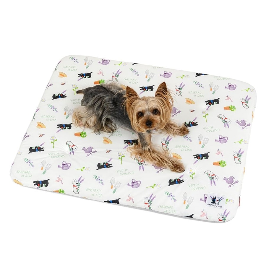 ペットパラダイス 犬 もちっと クール マット 夏 リサとガスパール 接触冷感 寝具 中型犬