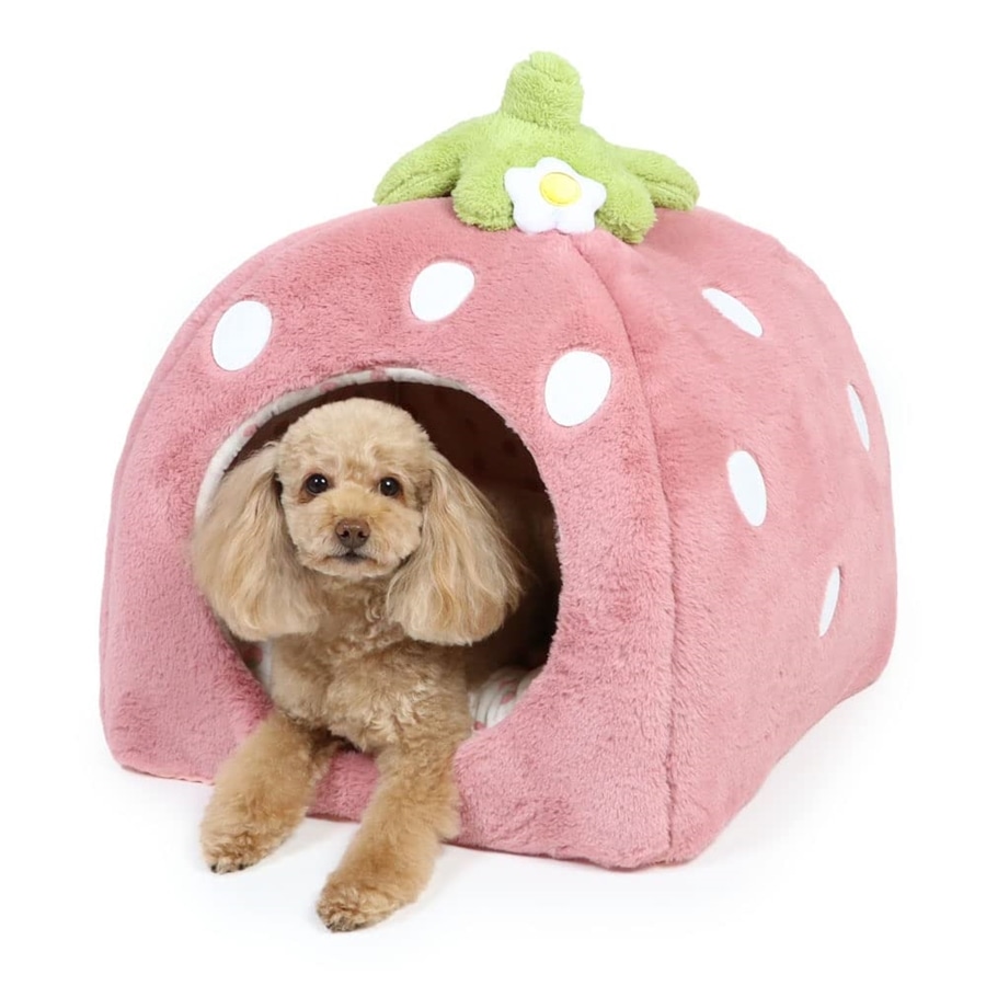 ペットパラダイス 犬 ベッド ドーム ドーム型ベッド ドーム型ハウス 家 ペットハウス 犬ハウス 犬用ベッド ペット 犬 猫 ( くすみ苺ハウスL ペットパラダイス国内直営店72店舗展開 2025/10/1時点)633-35613