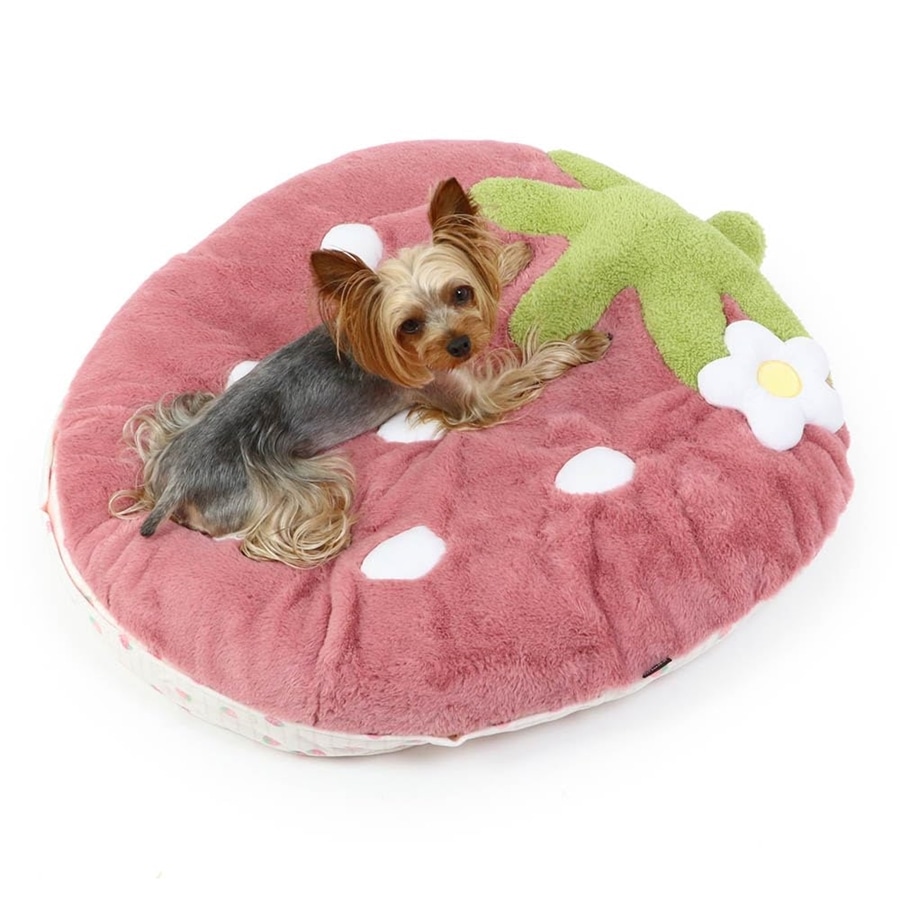 ペットパラダイス 犬 ペットベッド ピンク 苺 クッション (70×71cm) 寝具 633-29213