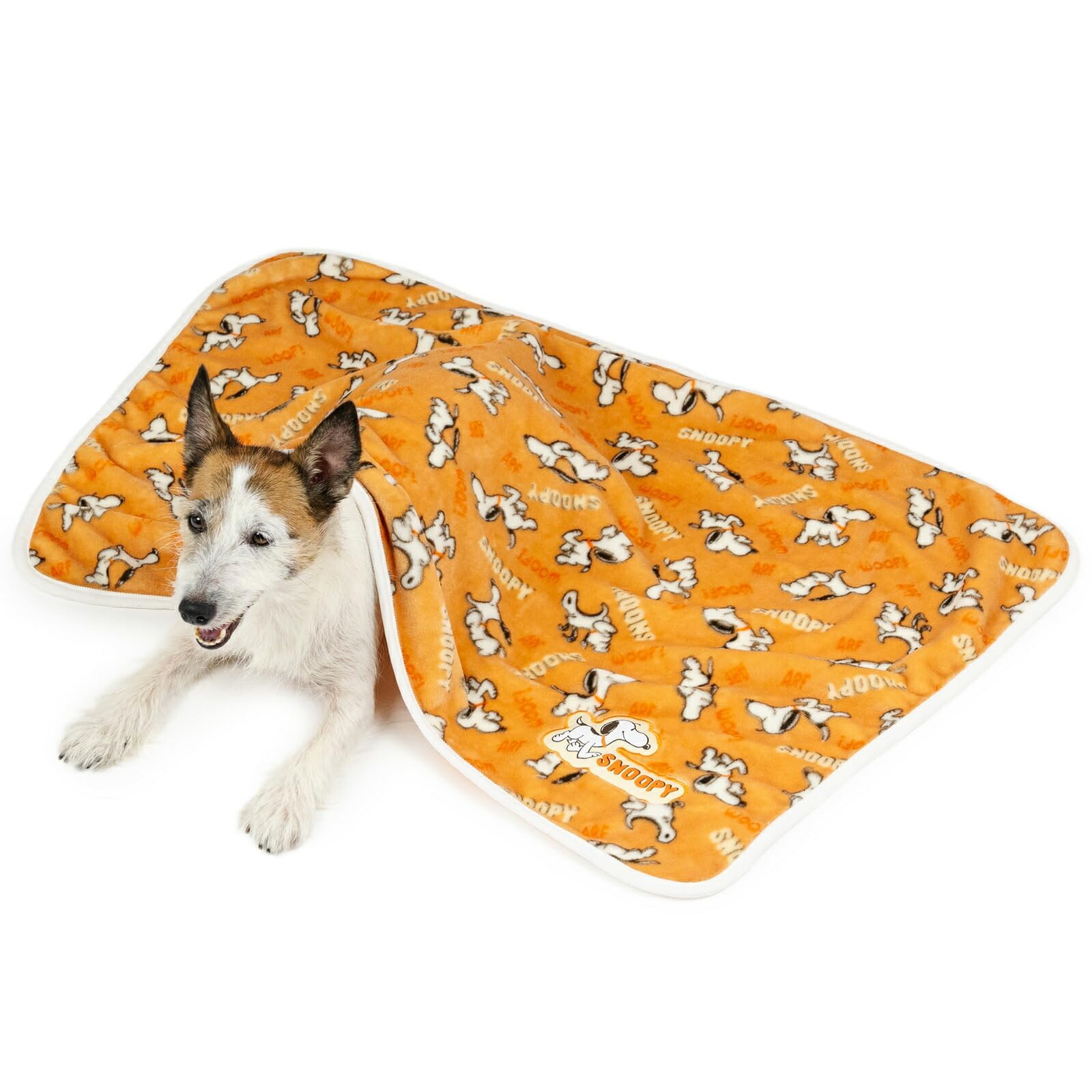 ペットパラダイス スヌーピー 犬 寝具 毛布 冬用 てくてく ブランケット 保温 暖かい 防寒 かわいい あったか
