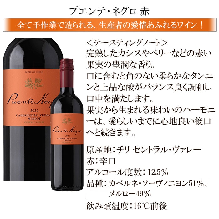 大奉仕!福袋高級シャンパン入り赤ワイン10本セット