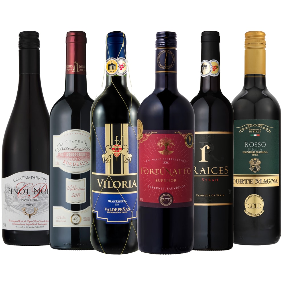 ミシュラン採用ワイナリーが造る！実力派ワイン入り厳選赤ワイン6本セット