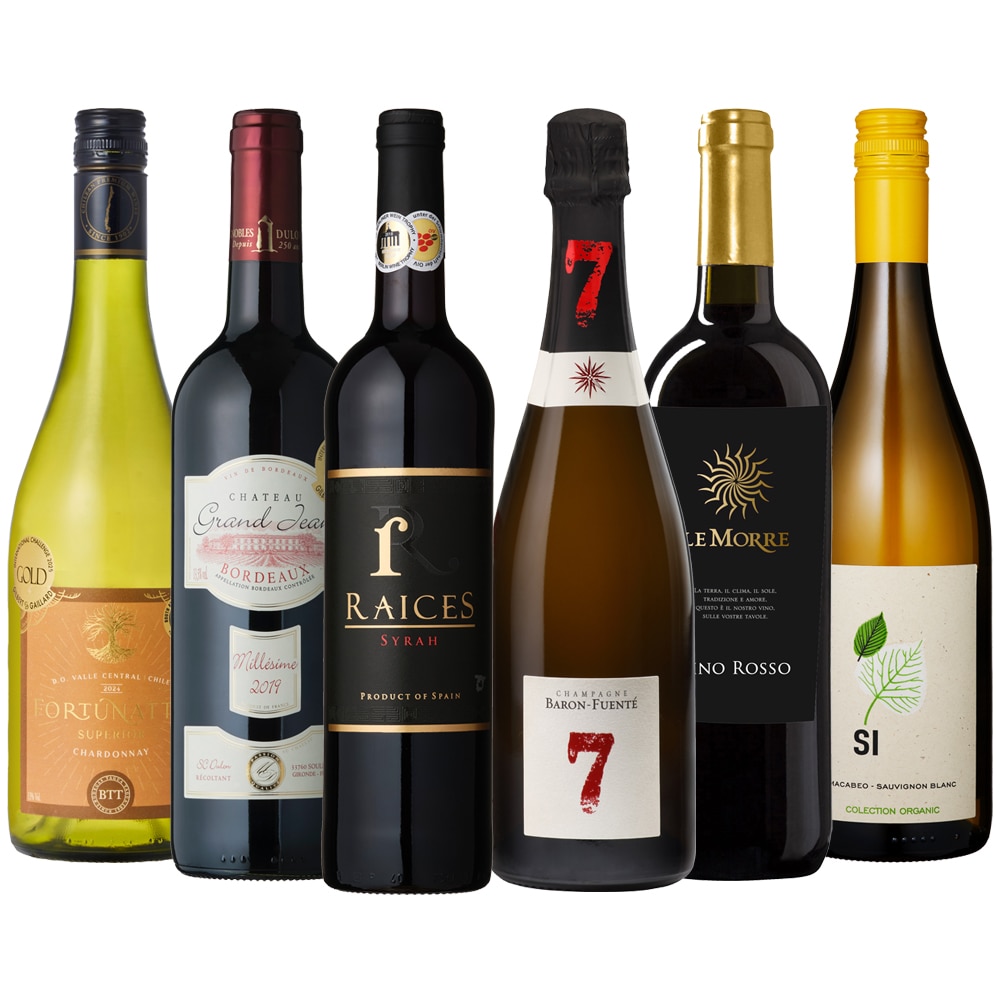 お買い得！豪華シャンパン入り＜7年熟成＞赤白ワイン６本セット