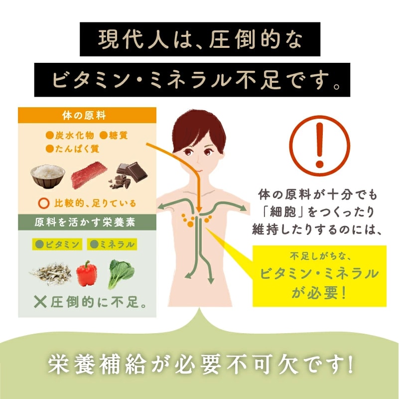 【送料無料】美粉屋 母なるスムージー 150g【メール便】たっぷりの野菜とフルーツと酵素配合 グリーンスムージー サプリ ダイエット ビタミン ミネラル スムージー タマチャンショップ