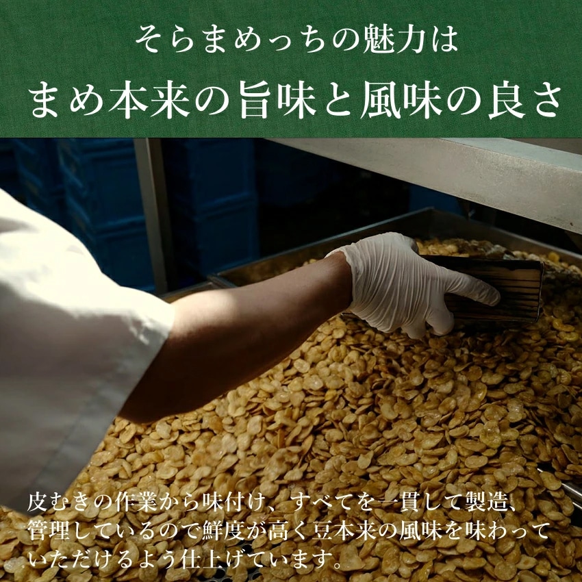 【送料無料】そらまめっちおすすめ3袋セット【塩・のり塩・チーズ&ガーリック】80g×3袋【メール便】植物性の栄養を楽しむソラマメ健康おやつシリーズ おやつ 無添加 空豆 スナック菓子 野菜チップス タマチャンショップ