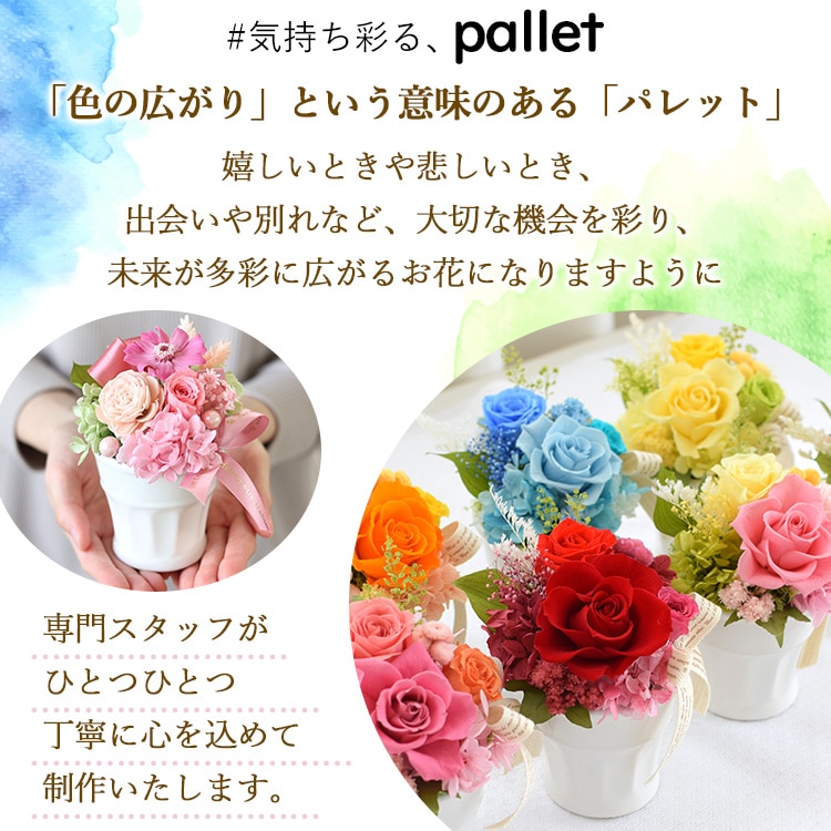 プリザーブドフラワー パレット 「C2オレンジ」 枯れない ブリザード フラワー アレンジメント 花 プレゼント ギフト 誕生日 結婚祝い 結婚記念日 退職祝い お祝い おしゃれ かわいい C2オレンジ