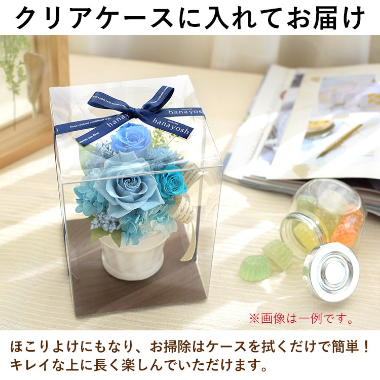 プリザーブドフラワー パレット 「C3アップルレッド」 枯れない ブリザード フラワー アレンジメント 花 プレゼント ギフト 誕生日 結婚祝い 結婚記念日 退職祝い お祝い おしゃれ かわいい C3アップルレッド