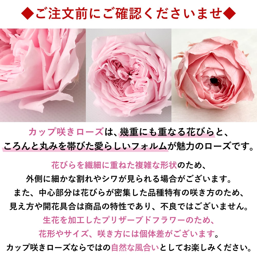 プリザーブドフラワー パレット 「C3アップルレッド」 枯れない ブリザード フラワー アレンジメント 花 プレゼント ギフト 誕生日 結婚祝い 結婚記念日 退職祝い お祝い おしゃれ かわいい C3アップルレッド