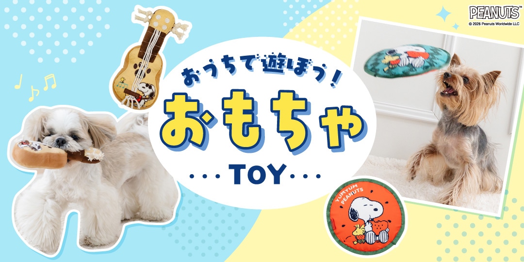 おうちで遊ぼう！おもちゃ