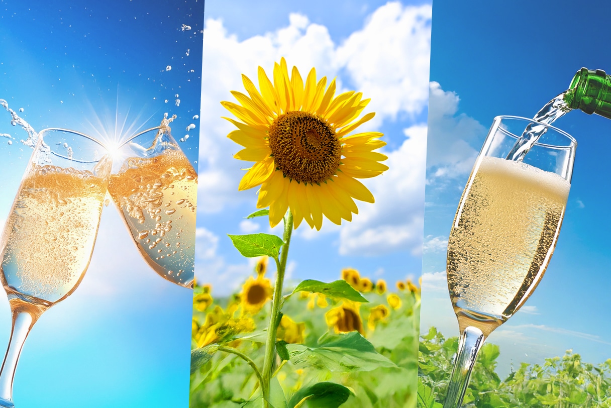 JAL Mall出店スタッフによる、おすすめワイン 厳選スパークリングワイン編