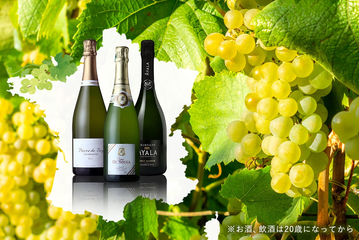 シャンパーニュ地方の大地が育む、至福の泡を楽しむひととき。