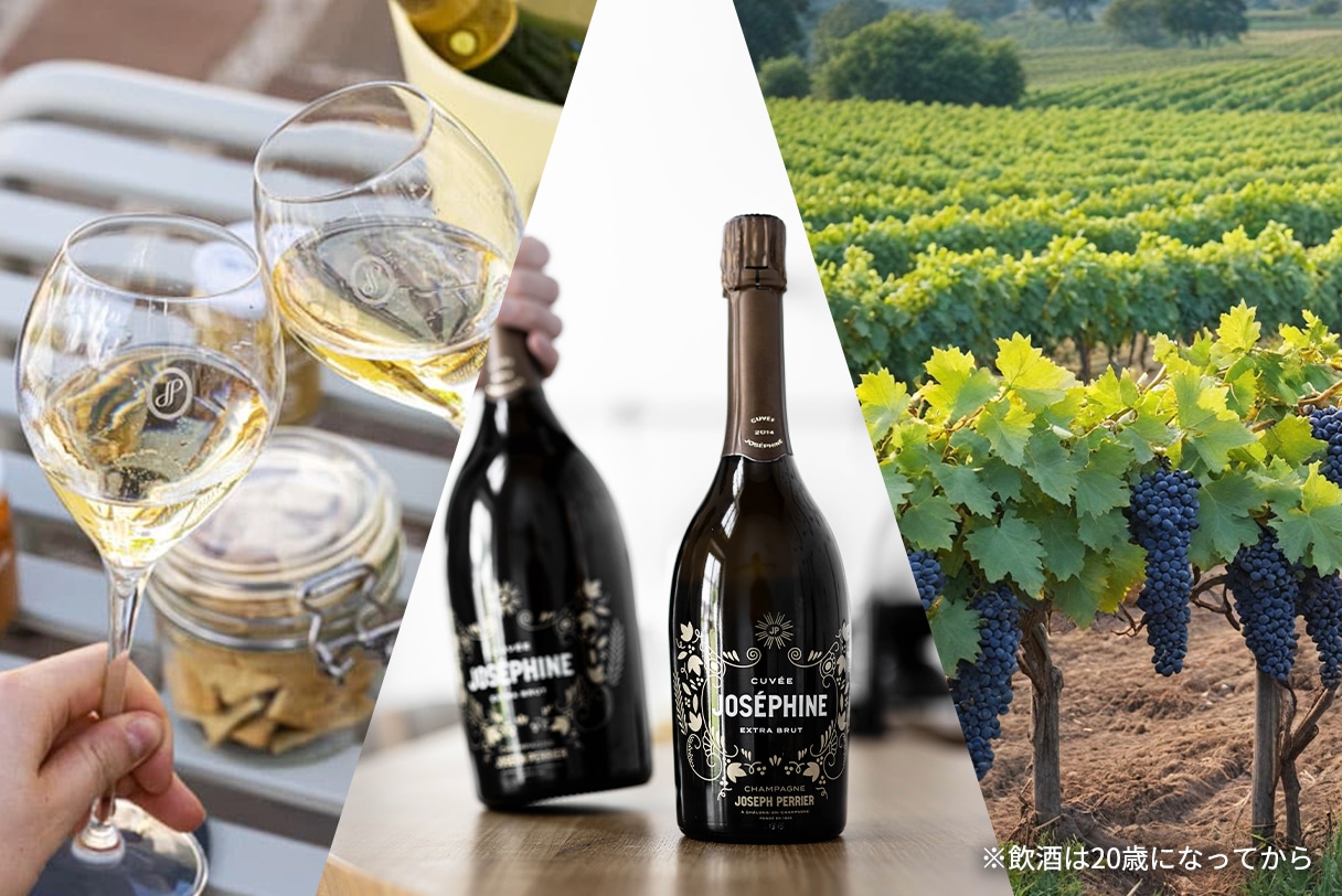 JAL Mall Wine Cellar