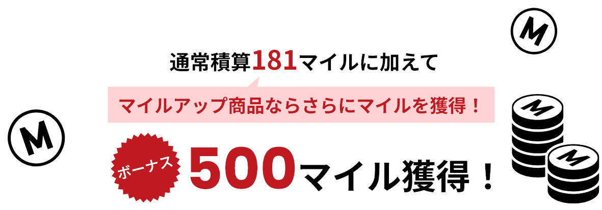 500マイル獲得