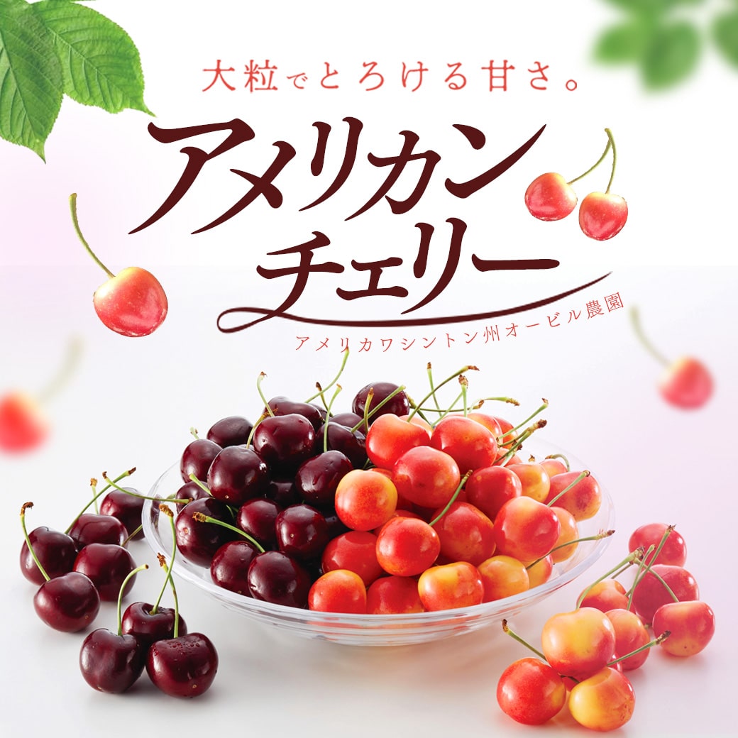 アメリカンチェリー特集