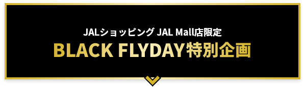 BLACK FLYDAY 特別企画