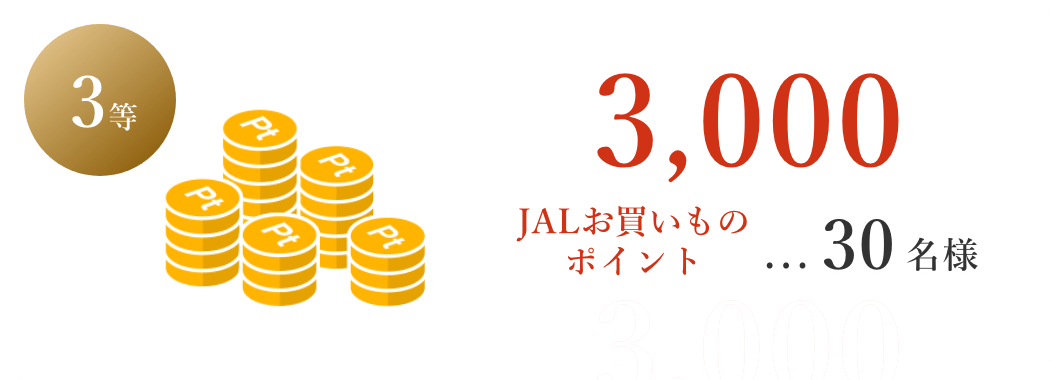 3等 JALお買い物ポイント 30名様