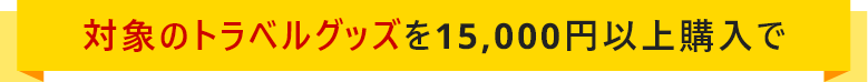 トラベルアイテムの購入で