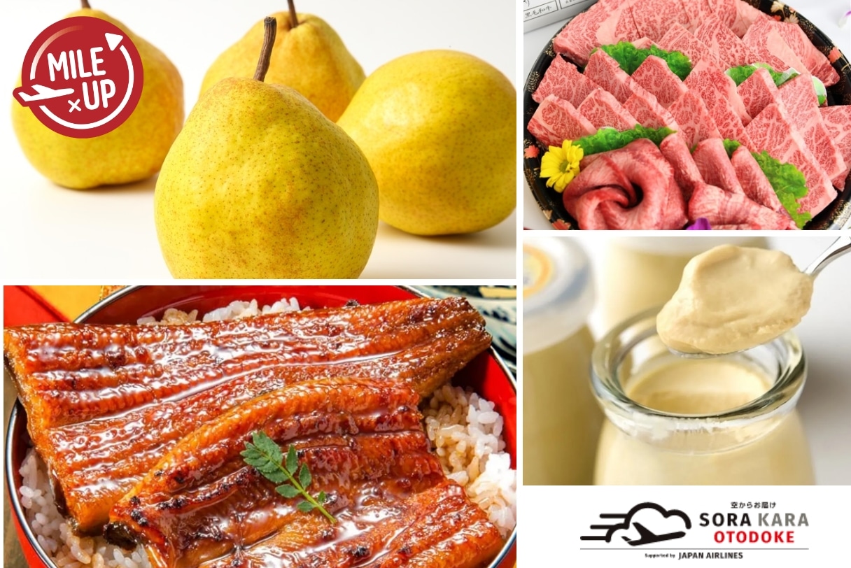 全品5倍マイル実施中！