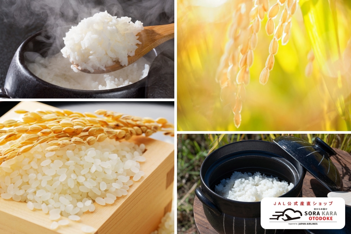 年末グルメマイルアップ参加中!全品5倍マイルでおトク