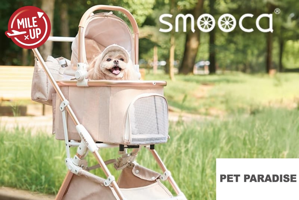 対象商品3倍マイル実施中!