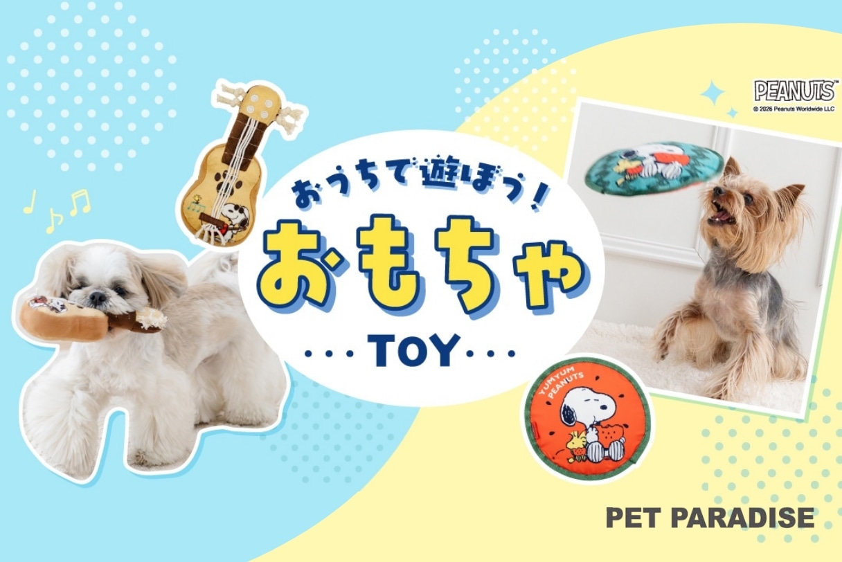 おうちで遊ぼう！おもちゃ特集